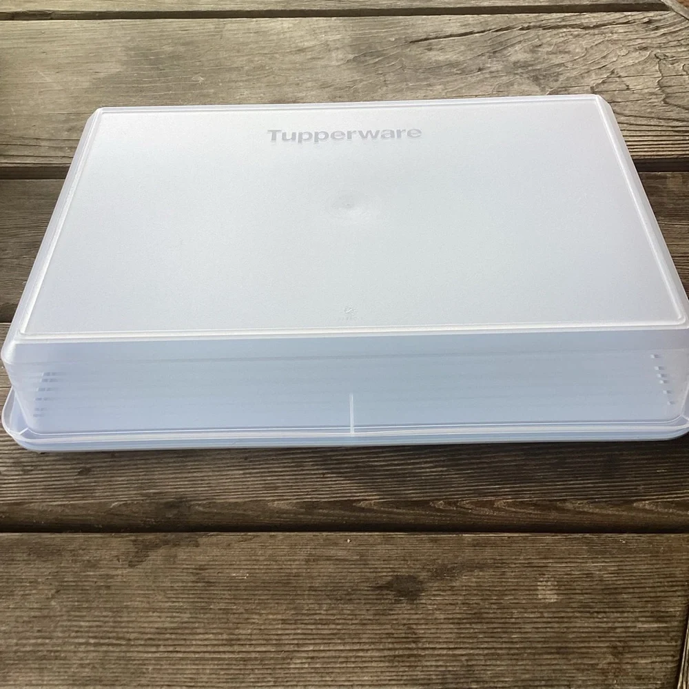 Tupperware Snack-Stor Large Container in Ice Cube color